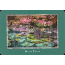 Gaia's Vision Oracle kortos Schiffer Publishing Gaia's Vision Oracle kortos Schiffer Publishing