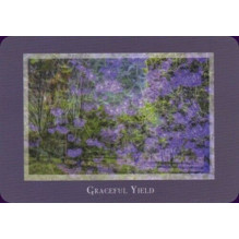 Gaia's Vision Oracle kortos Schiffer Publishing Gaia's Vision Oracle kortos Schiffer Publishing