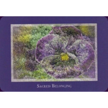 Gaia's Vision Oracle kortos Schiffer Publishing Gaia's Vision Oracle kortos Schiffer Publishing