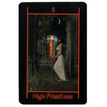 Tarot of the Night kortos Schiffer Publishing Tarot of the Night kortos Schiffer Publishing