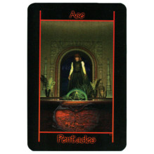Tarot of the Night kortos Schiffer Publishing Tarot of the Night kortos Schiffer Publishing