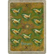 The Secret Language of Birds Taro Kortos Schiffer Publishing
