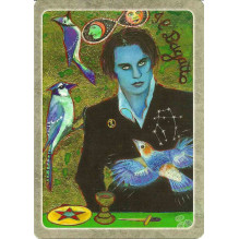 The Secret Language of Birds Taro Kortos Schiffer Publishing