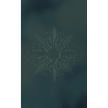 Divine Masculine Healing Oracle kortos Blue Angel