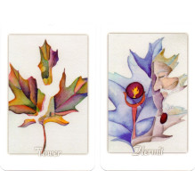 Tarot Leaves Taro Kortos Schiffer Publishing