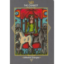 Otherworld Tarot Kortos Schiffer Publishing