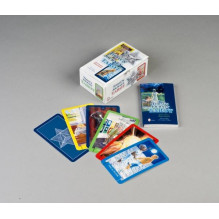 Todays Journey Tarot Kortos Schiffer Publishing Todays Journey Tarot Kortos Schiffer Publishing