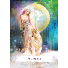 Spellcasting Oracle kortos Hay House Spellcasting Oracle kortos Hay House
