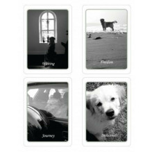 Simple Wisdom of the Household Dog kortos Schiffer Publishing Simple Wisdom of the Household Dog kortos Schiffer Publishing