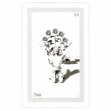 ShadowFox Tarot Kortos Schiffer Publishing