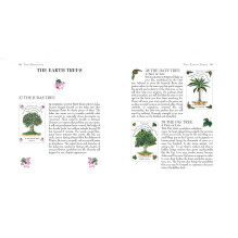Tree Magick Oracle kortos Cico Books Tree Magick Oracle kortos Cico Books