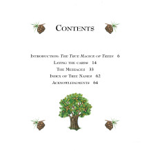 Tree Magick Oracle kortos Cico Books Tree Magick Oracle kortos Cico Books