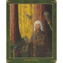 The Green World Oracle kortos Schiffer Publishing