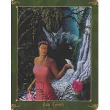 The Green World Oracle kortos Schiffer Publishing The Green World Oracle kortos Schiffer Publishing