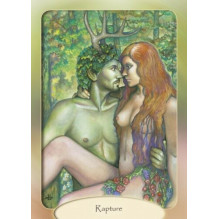 The Stone Circle Oracle kortos Schiffer Publishing The Stone Circle Oracle kortos Schiffer Publishing