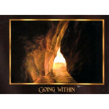 Resonance Oracle kortos Schiffer Publishing Resonance Oracle kortos Schiffer Publishing