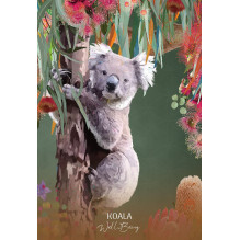 Wild Wisdom Australia Oracle kortos Blue Angel Wild Wisdom Australia Oracle kortos Blue Angel