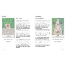 Unusual Animal Messages Oracle kortos Cico Books Unusual Animal Messages Oracle kortos Cico Books