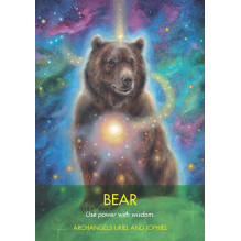 Archangel Animal Oracle kortos Hay House