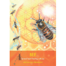 Archangel Animal Oracle kortos Hay House