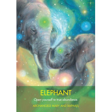Archangel Animal Oracle kortos Hay House Archangel Animal Oracle kortos Hay House