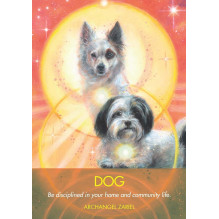Archangel Animal Oracle kortos Hay House Archangel Animal Oracle kortos Hay House