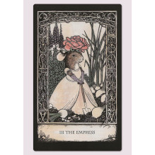 Tarot of Tales kortos ir naudojimosi vadovas Cico Books Tarot of Tales kortos ir naudojimosi vadovas Cico Books