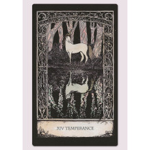 Tarot of Tales kortos ir naudojimosi vadovas Cico Books Tarot of Tales kortos ir naudojimosi vadovas Cico Books