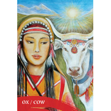 The Zen Of Animals Oracle kortos Blue Angel The Zen Of Animals Oracle kortos Blue Angel