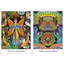 Amazonian Angel Oracle kortos Destiny Books