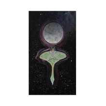 Dream Wisdom Oracle kortos Destiny Books Dream Wisdom Oracle kortos Destiny Books