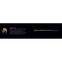 Kosmetinis defektas Harry Potter The Wand Collection knyga Insight Editions