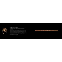 Harry Potter The Wand Collection knyga minkštu viršeliu Insight Editions Harry Potter The Wand Collection knyga minkštu viršeliu Insight Editions