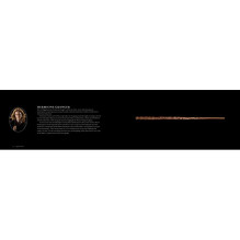 Kosmetinis defektas Harry Potter The Wand Collection knyga minkštu viršeliu Insight Editions Kosmetinis defektas Harry Potter The Wand Collection knyga minkštu viršeliu Insight Editions