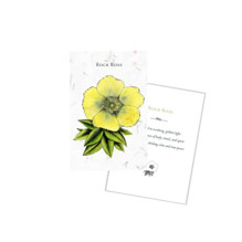 Listening to flowers Oracle kortos Schiffer Publishing Listening to flowers Oracle kortos Schiffer Publishing
