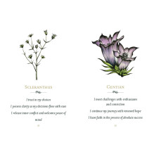 Listening to flowers Oracle kortos Schiffer Publishing Listening to flowers Oracle kortos Schiffer Publishing