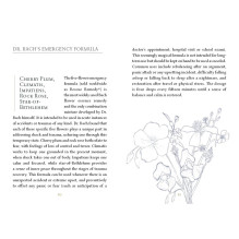 Listening to flowers Oracle kortos Schiffer Publishing Listening to flowers Oracle kortos Schiffer Publishing