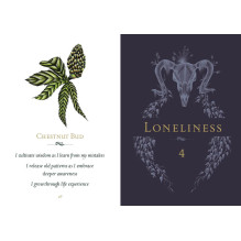 Listening to flowers Oracle kortos Schiffer Publishing Listening to flowers Oracle kortos Schiffer Publishing