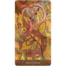 Blood Moon Tarot kortos US Games Systems Blood Moon Tarot kortos US Games Systems