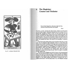 Tarot and the Archetypal Journey knyga Weiser Books