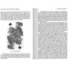 Tarot and the Archetypal Journey knyga Weiser Books Tarot and the Archetypal Journey knyga Weiser Books
