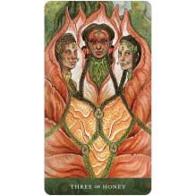 Blood Moon Tarot kortos US Games Systems Blood Moon Tarot kortos US Games Systems