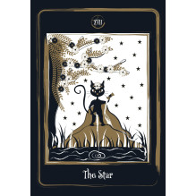 Golden Black Cat Tarot kortos AGM Golden Black Cat Tarot kortos AGM