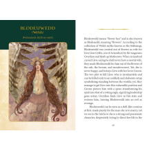 Celtic Goddesses, Witches and Queens Oracle kortos Schiffer Publishing Celtic Goddesses, Witches and Queens Oracle kortos Schiffer Publishing