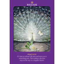 Animal Guides Tarot kortos Hay House Animal Guides Tarot kortos Hay House