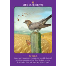 Animal Guides Tarot kortos Hay House Animal Guides Tarot kortos Hay House