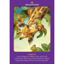 Animal Guides Tarot kortos Hay House Animal Guides Tarot kortos Hay House
