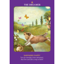Animal Guides Tarot kortos Hay House Animal Guides Tarot kortos Hay House