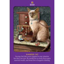 Animal Guides Tarot kortos Hay House Animal Guides Tarot kortos Hay House