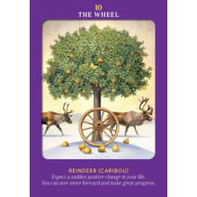 Animal Guides Tarot kortos Hay House Animal Guides Tarot kortos Hay House